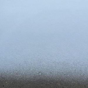 Meet your Posher, Riley